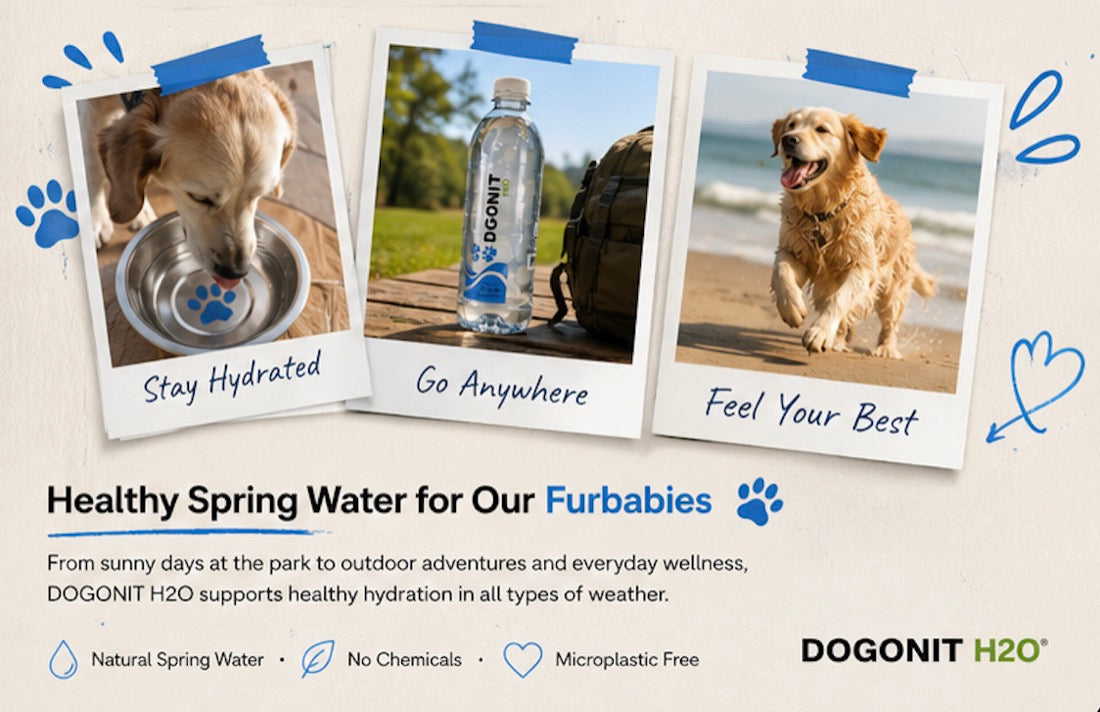 Dogonit H2O hydration moments for active pets